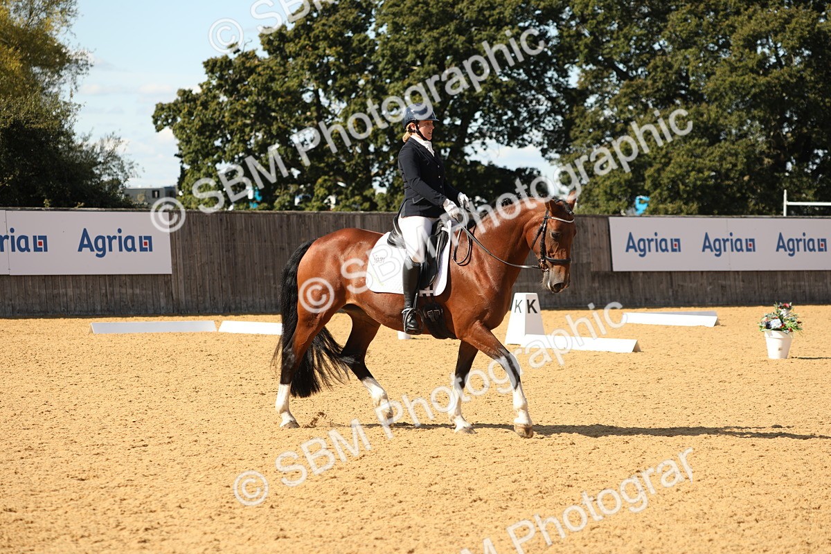SBM_24537 - D17 - Grand Tour Championship - Novice 27