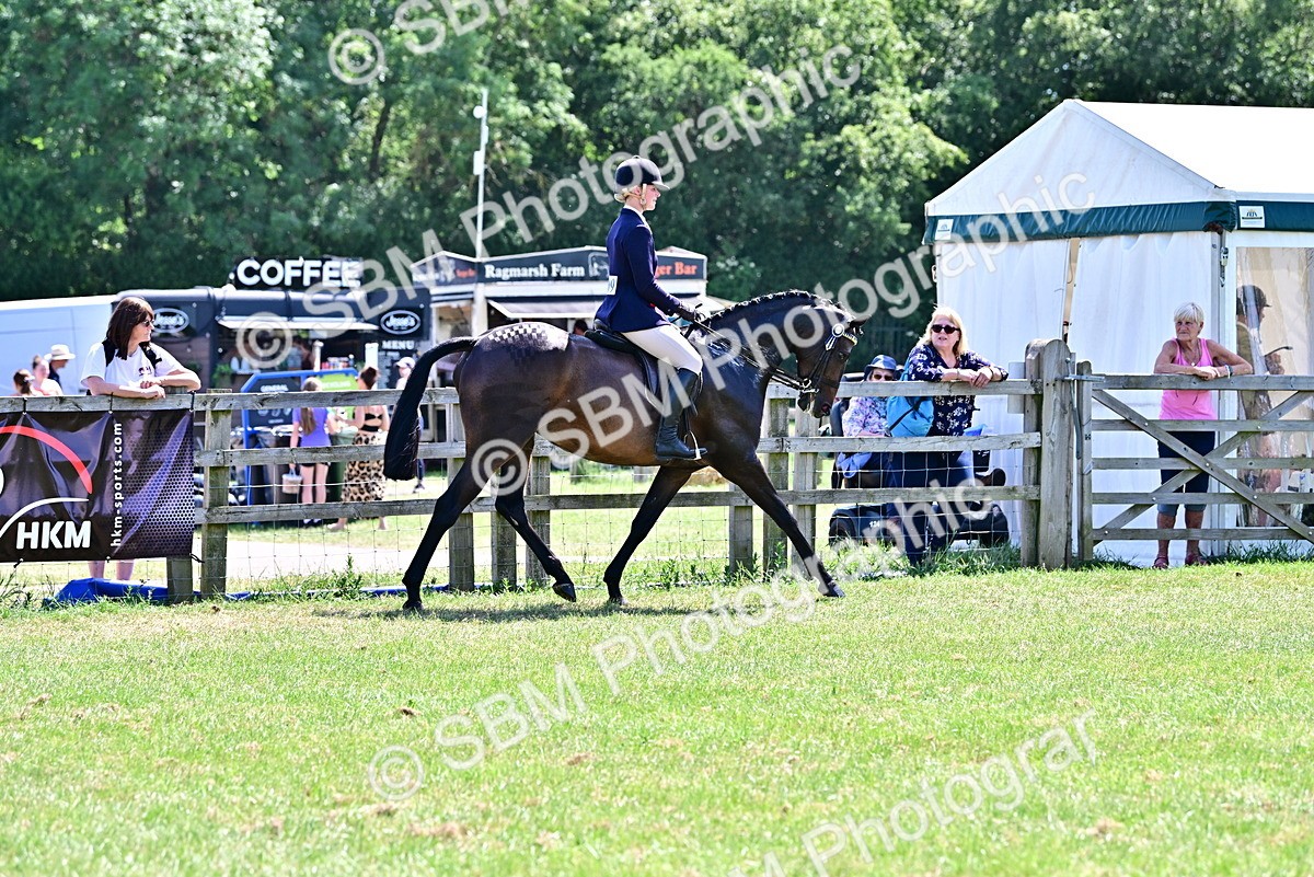 SBM_17568 - Class 95-97 - BSPS LHS Performance Ponies