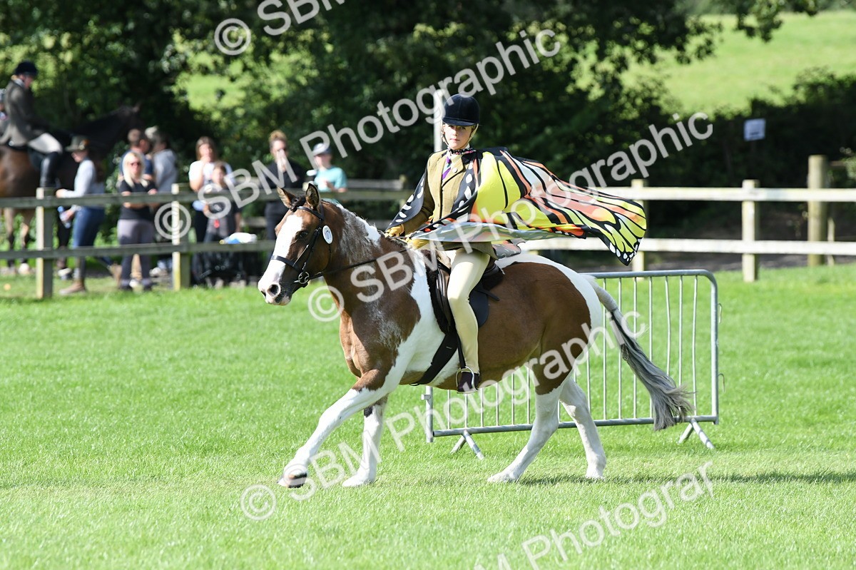SBM_47102 - S12 - Family Horse & Pony