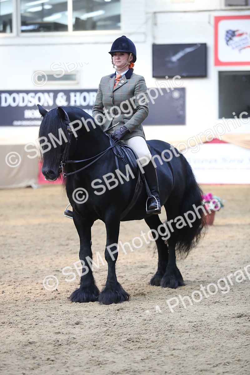 SBM_08388 - Class 11R Regional Ridden Veteran