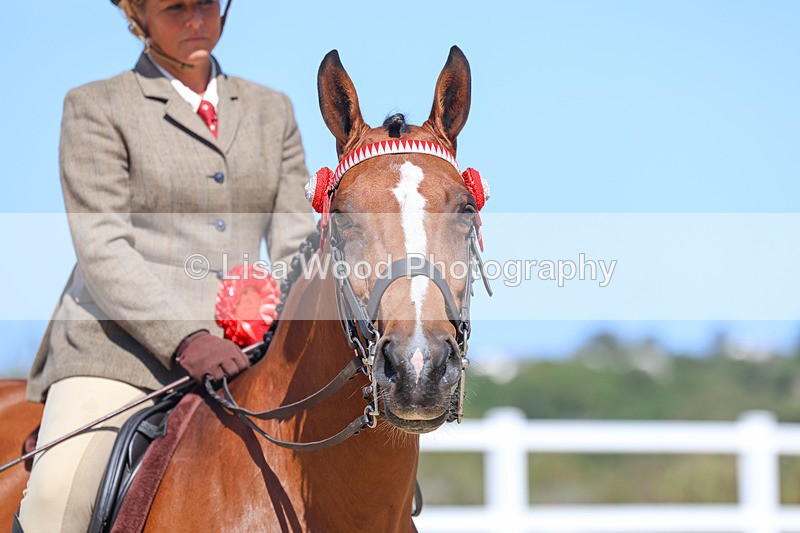 3E7A6167 - Ridden Championship
