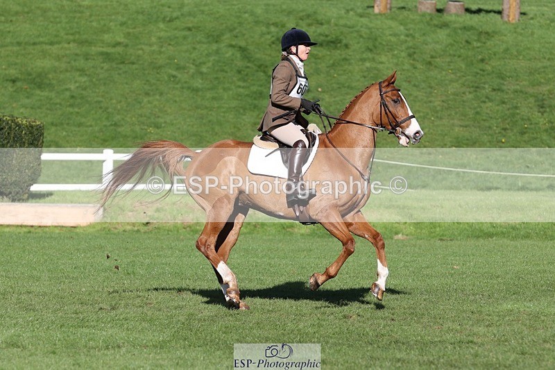 231022-111619-25068 - 607-RICO.III-Alison.Stewart-TrotUp+SJ