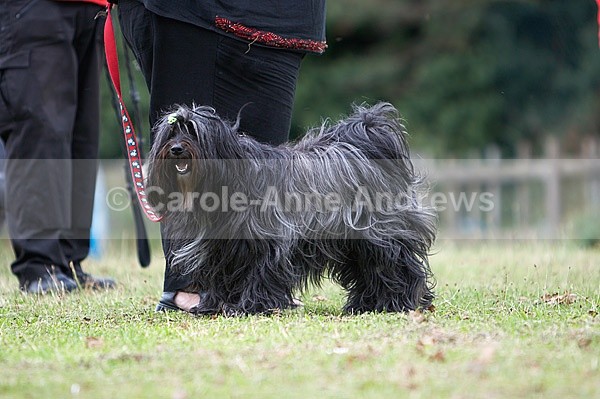  - Tendring Agility Group- St Osyth Summer Fete