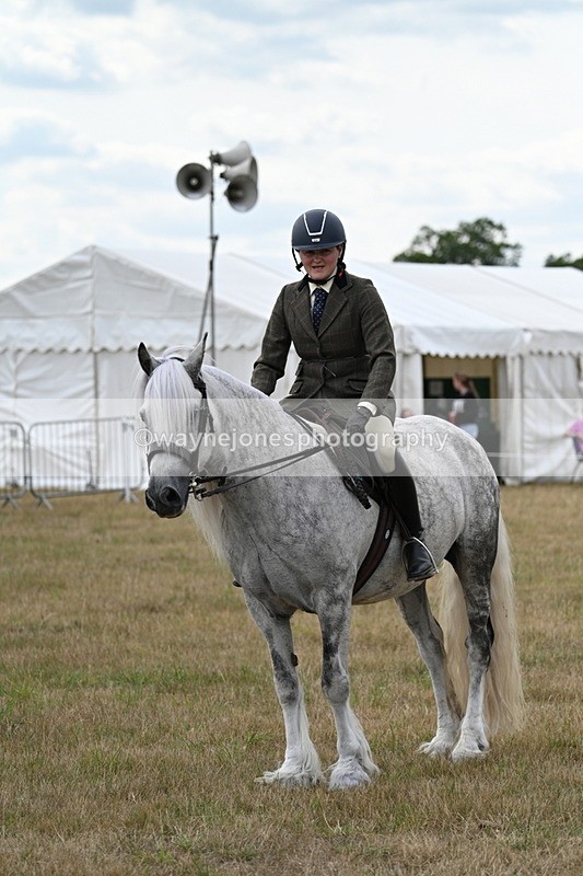 WJ7_5297 - Class 12 Ridden Cob