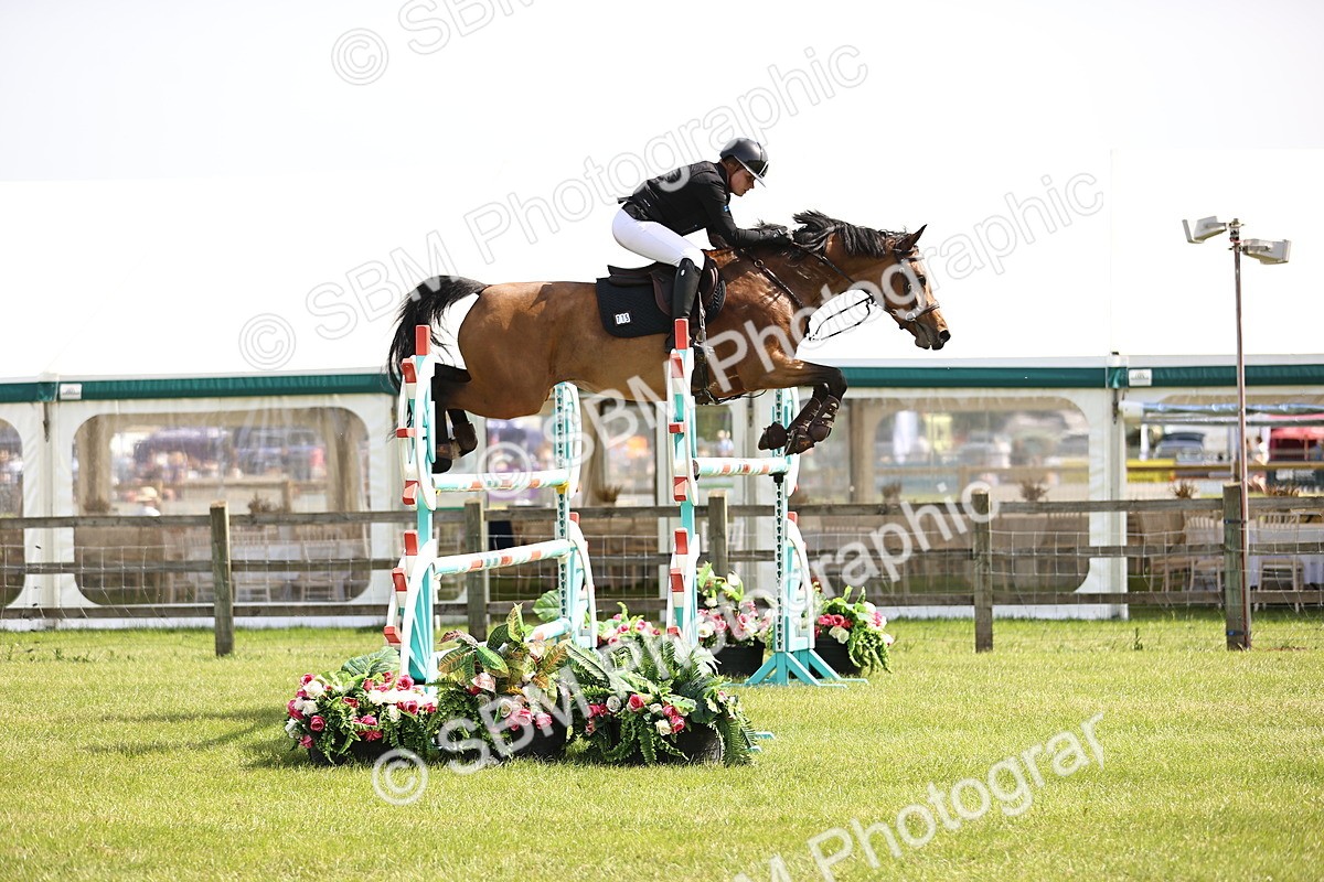 SBM_03101 - Class 201 - British Horse Feedds Speedi Beet HOYS Grade C