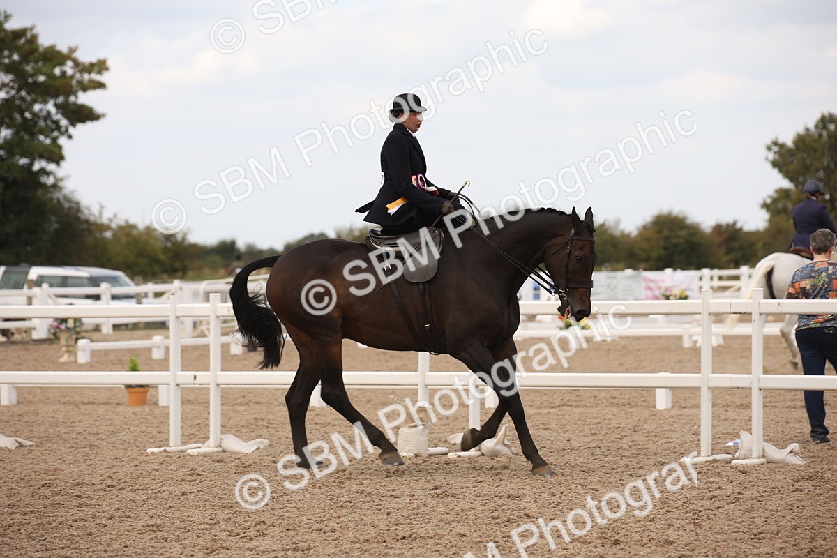SBM_05537 - Class 22 SSA Equitation