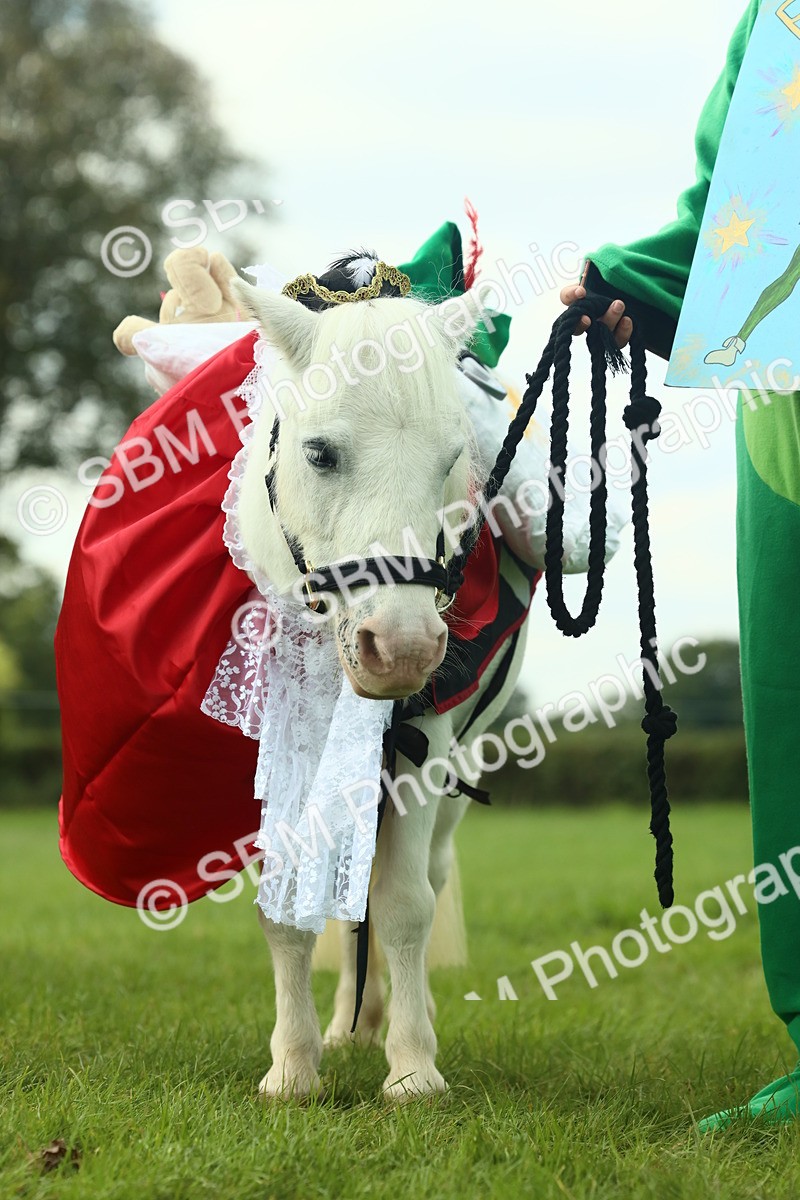 SBM_63609 - S35 - Fancy Dress Showing