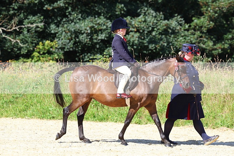 3E7A8007 - Class 15: Lead Rein