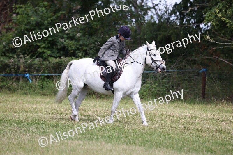 20260614-0564 - Class 20 - Beginners Working Hunter Pony