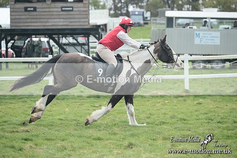 PtP 230324 155 - Tedworth Hunt PtP Larkhill Raccourse 23rd March 2024