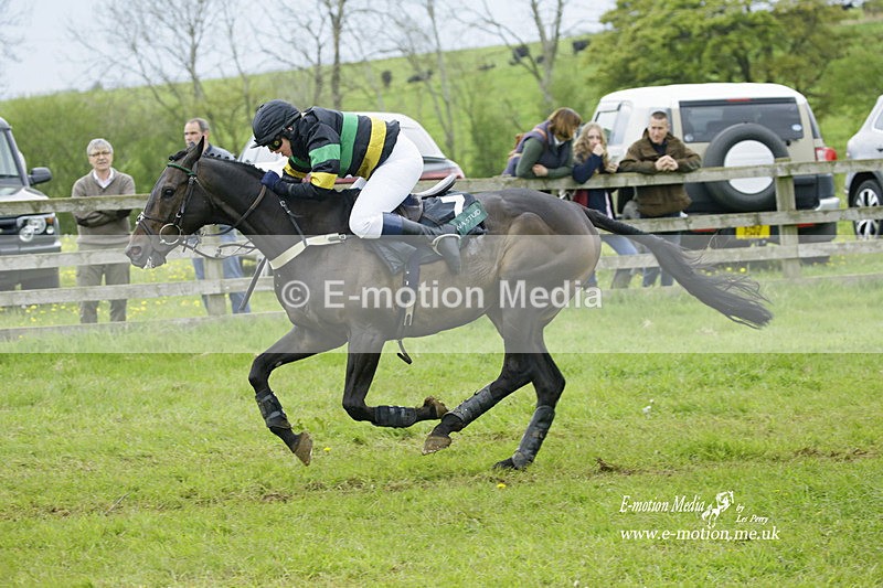 PtP 020522 465 - Mollington Races Point-to-Point 02/05/22