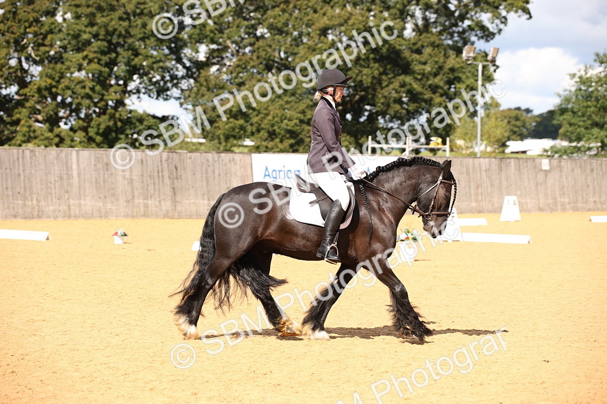 SBM_06723 - D8 Small Tour Championship Prelim 7