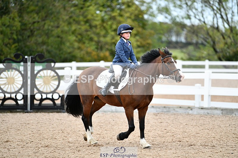 241013B-140349-01485 - Cls 4 60cm