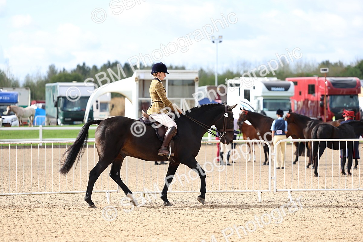 SBM_10041 - Class 304 - Ridden Part Bred Horse Pony