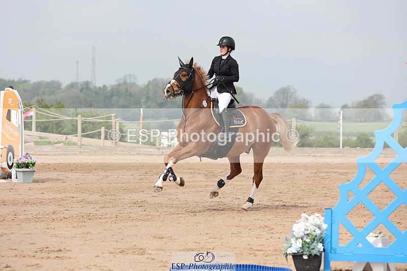 250424-110411-03368 - Cls 33 Young Horse 7yr old