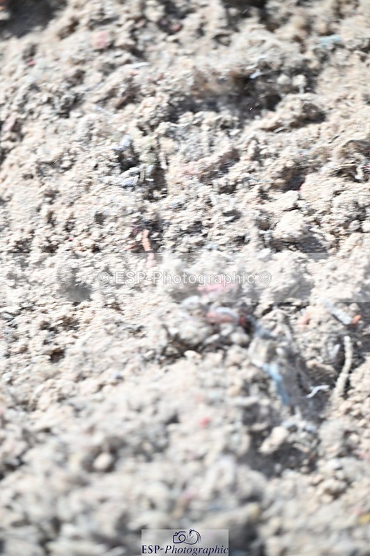 250924-131744-00400 - Cls 4 Newcomers and 1.10m Open