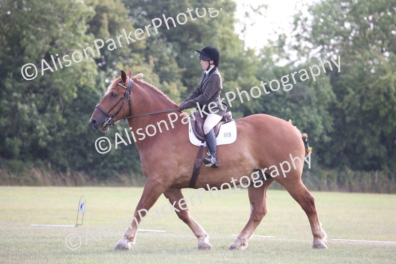 20250731-0563 - Class 1 - Intro 4