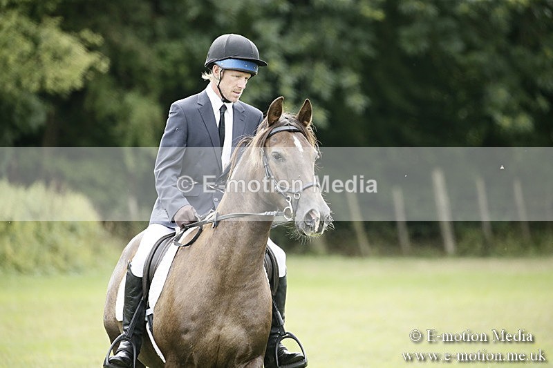 BVR080918 166 - BVRC Novice Dressage & CR 08/09/18