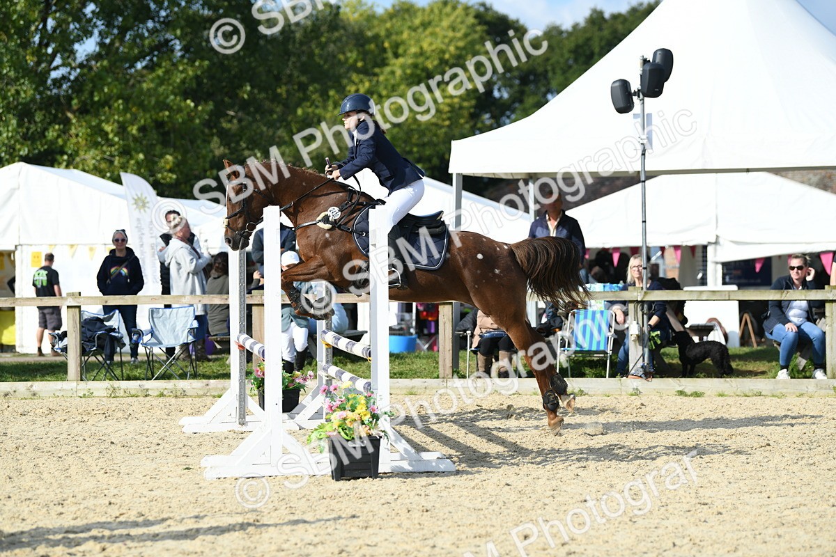 SBM_60781 - j25 - Junior Horse 80cm Championship