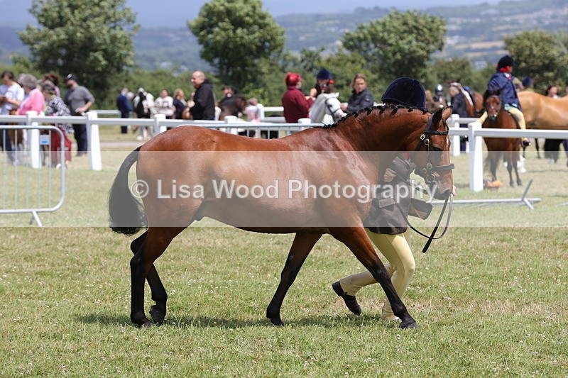 1X9A4808 - Class 35: Veteran In Hand