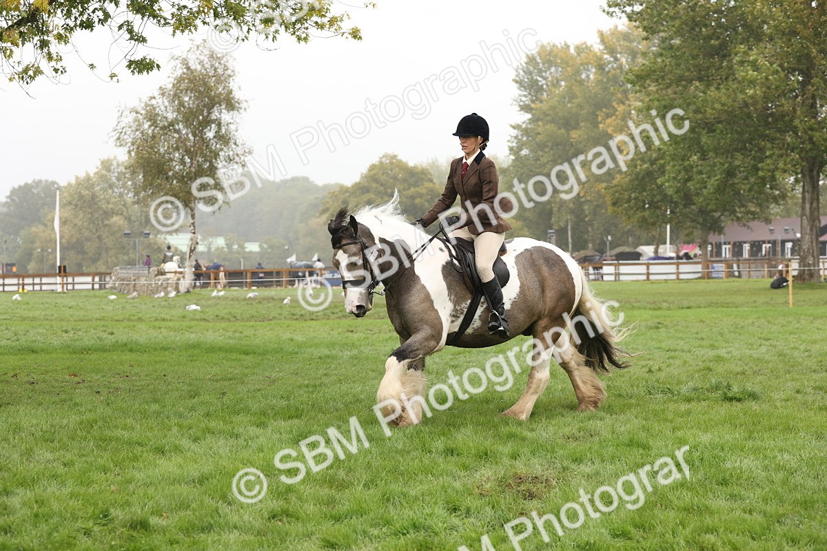 SBM_72742 - S70 - Traditional Cob Ridden