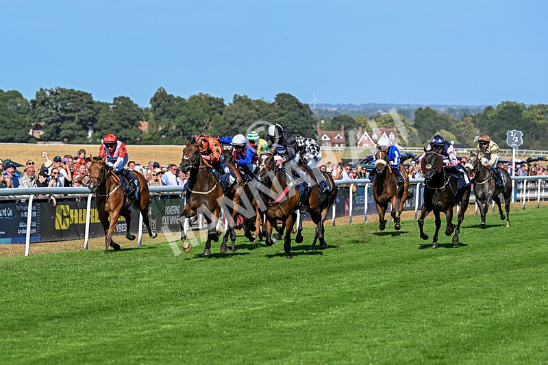 120826-Race 6-Rumble Ruby-7467 - Race 6 16.45pm Nation Radio Yorkshire Handicap