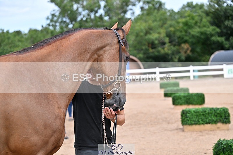 250716-130526-00316 - Trot Up 12.30 to 1.30