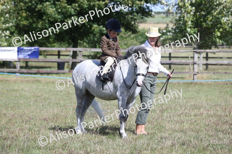 20250831-2656 - Class 17 - Lead Rein Pony