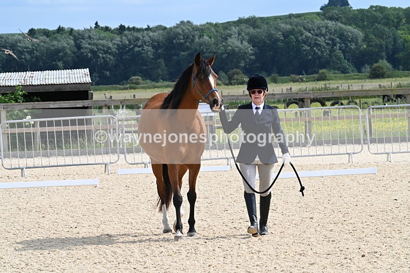 WJ7_8128 - Time 16:10 to 16:25