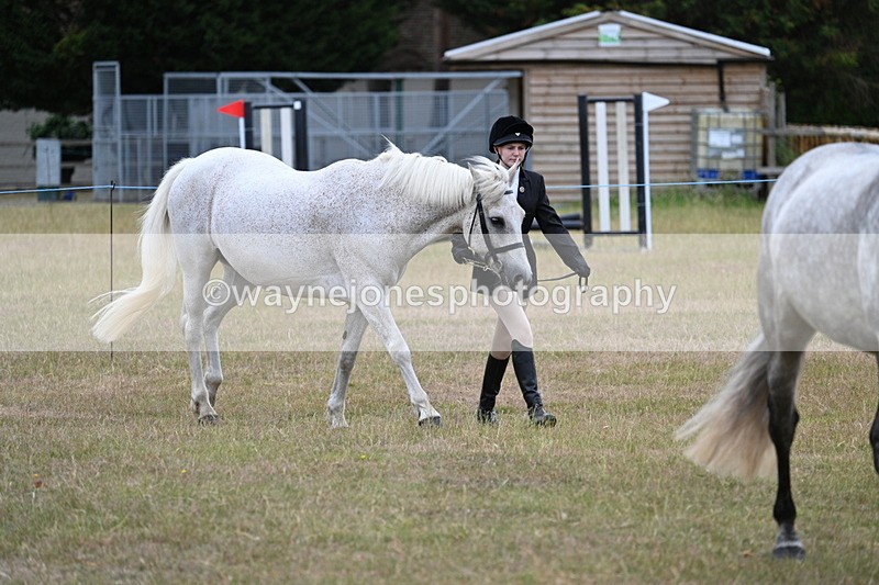 WJ7_9030 - Class 4a Prettiest Mare 14.2hh and over