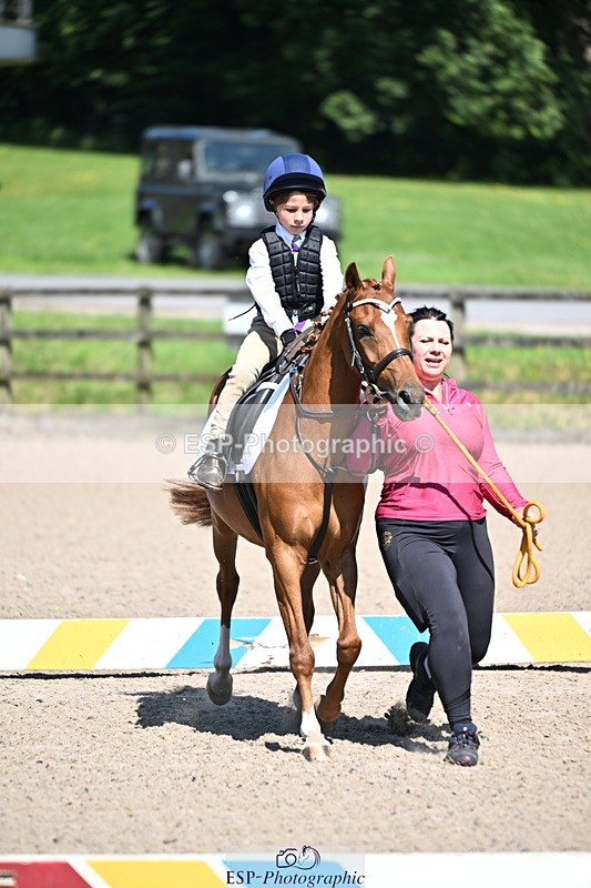 240729B-110650-02227 - Showjumping Competition