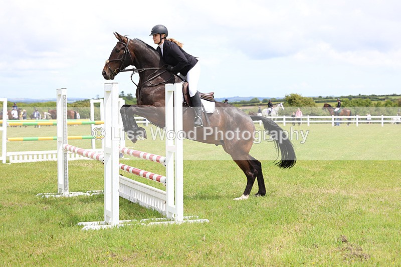 3E7A7234 - Class 13: Senior British Novice/90cm open