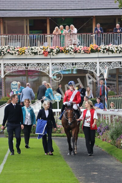yr09102021r2-23 - Race 2 2.02pm Coral Beaten-By-A-Length Free Bet Rockingham Stakes