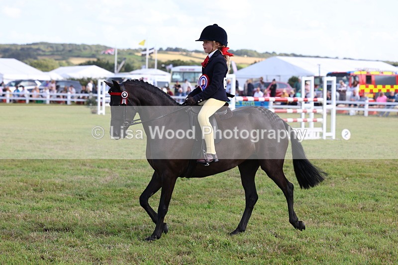 3E7A3969 - Supreme Championship