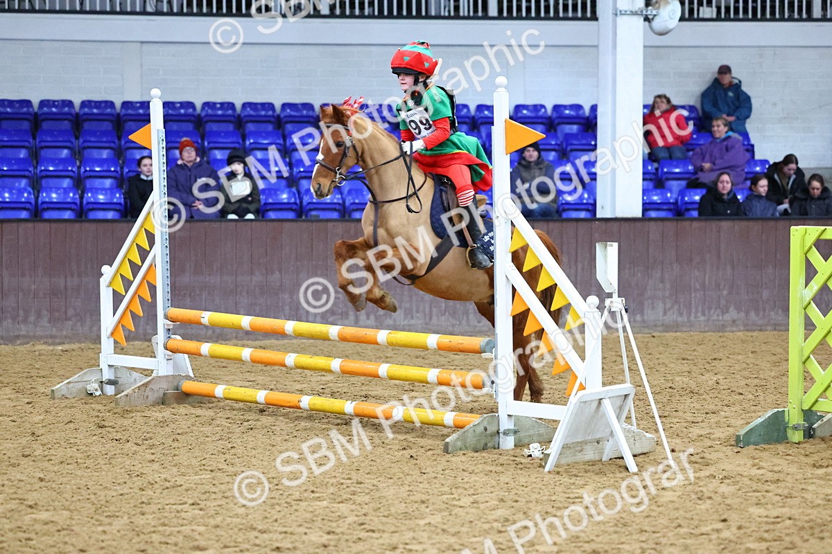 SBM_001454 - Class 3 - Christmas Tree Stakes - 60cm