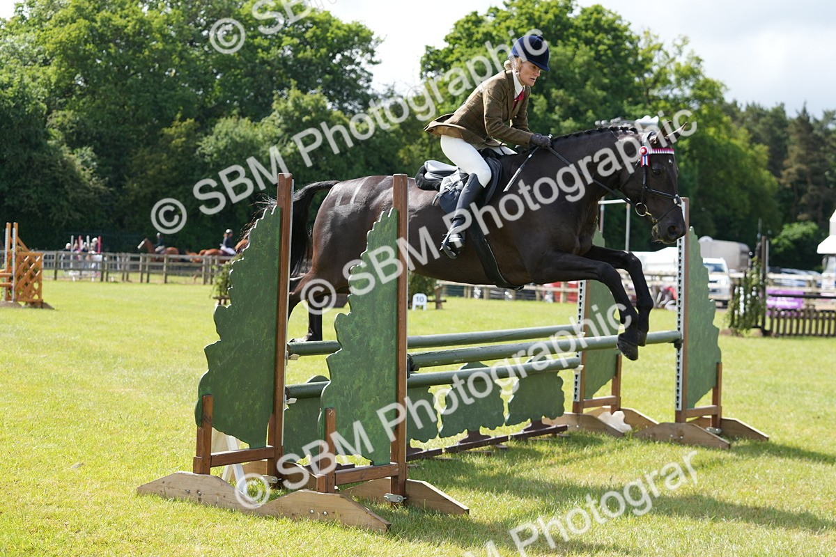 SBM_12891 - Class 99 - RIHS SEIB Working Show Horse