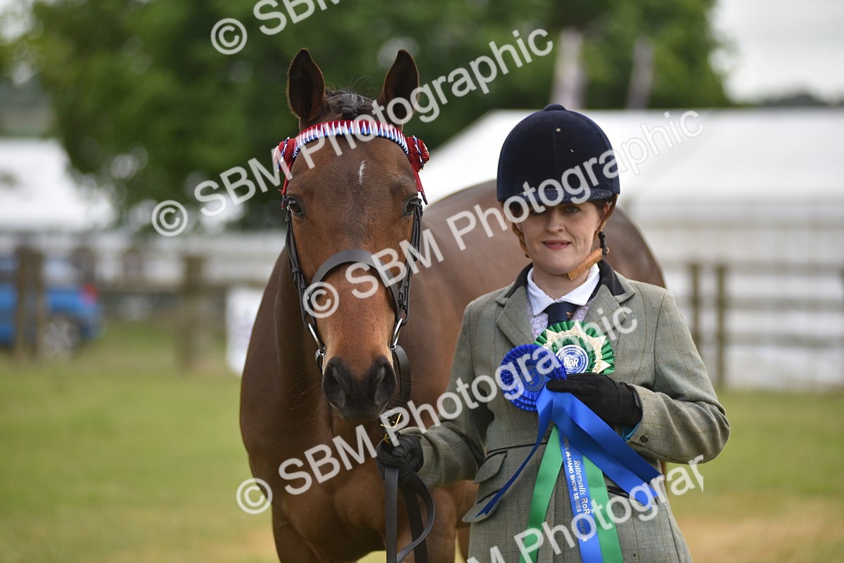 SBM_10680 - Class 109 - Retraining of Racehorses in Hand