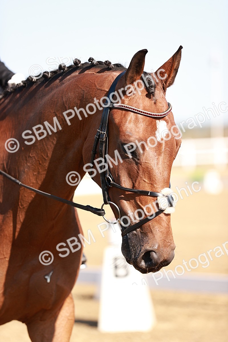 SBM_004337 - Class 12 - Novice 5 - 9.07-10.10