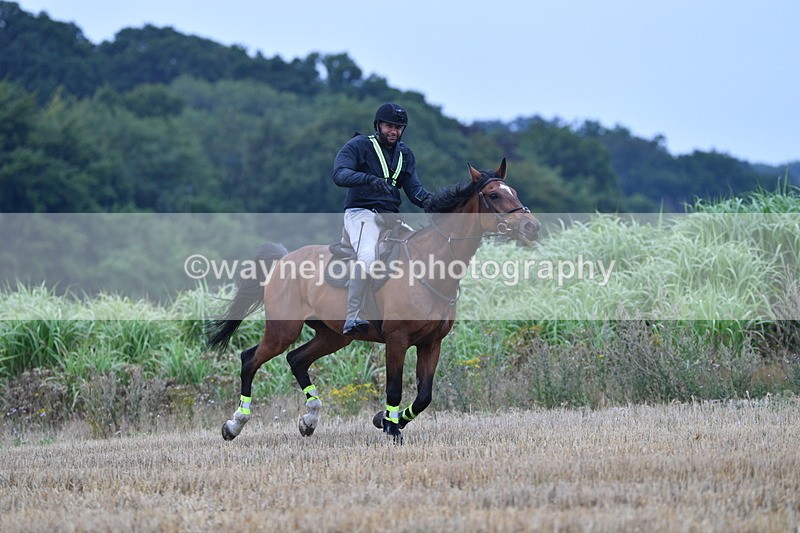 WJ5_3267 - Sofian Francis