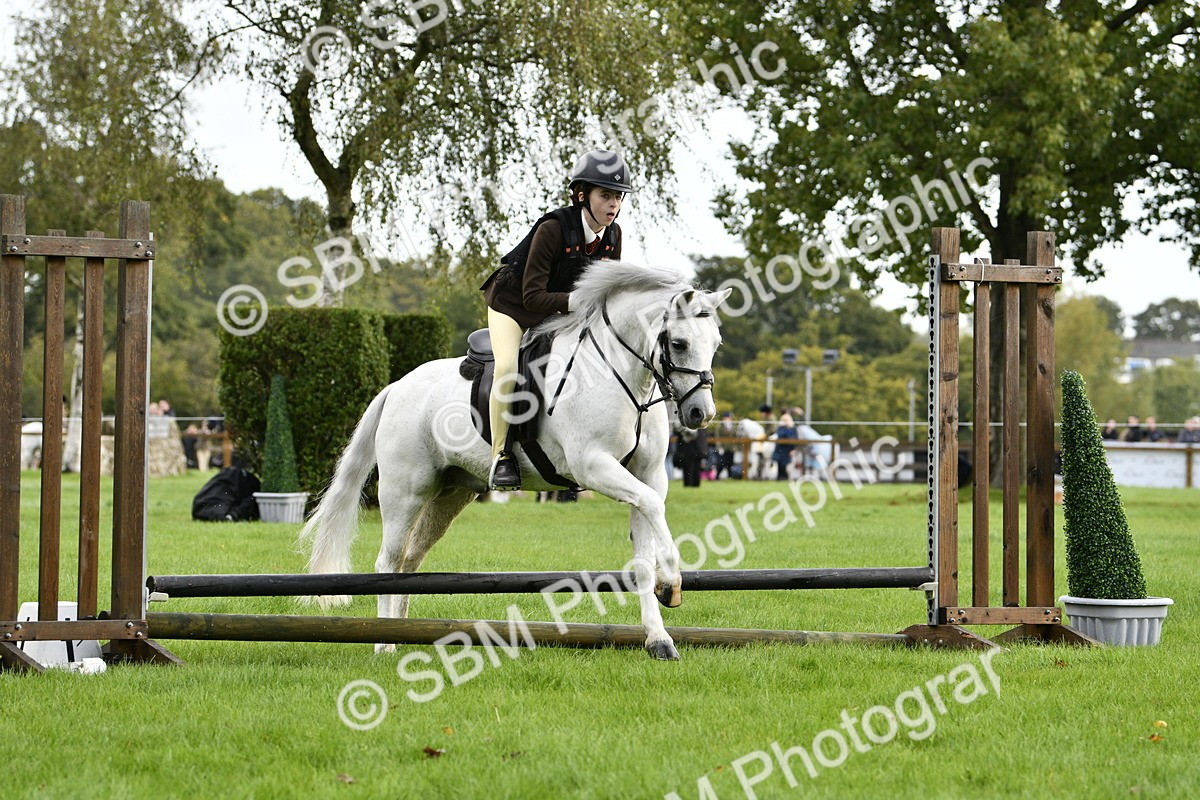 SBM_35428 - S30 - Nursery Stakes Working Hunter Pony