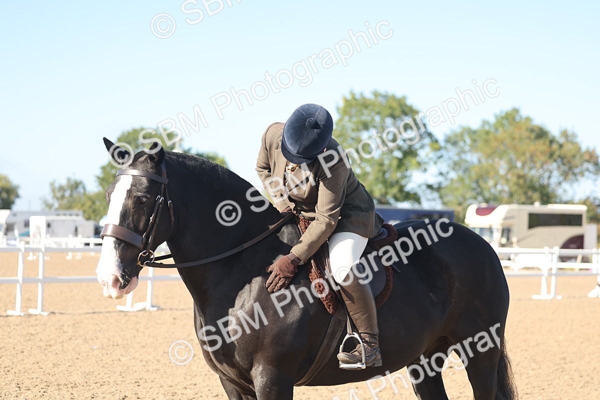 SBM_22226 - Class 802 - Ridden Groom Helpers Class