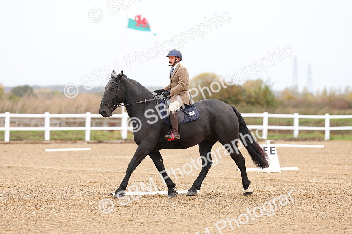 SBM_000107 - Intro 2