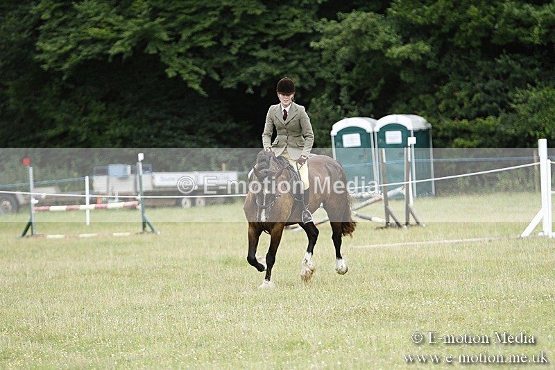 BVR160717-97 - Ring 3 BVRC Show 16/07/17