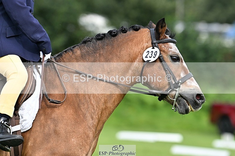 230826-103144-16561 - Sections A & B 10 to End