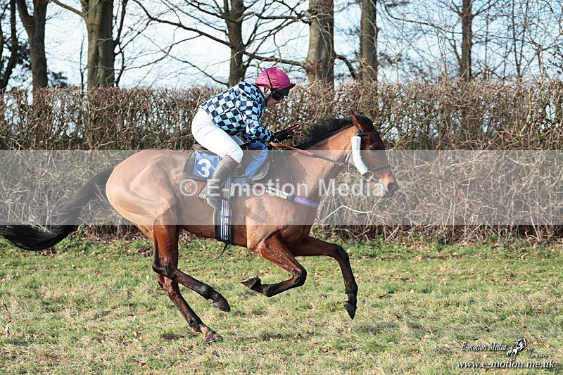 PtP 240126 650 - Cambridgeshire & Enfield Chase PtP Horseheath 24/01/26