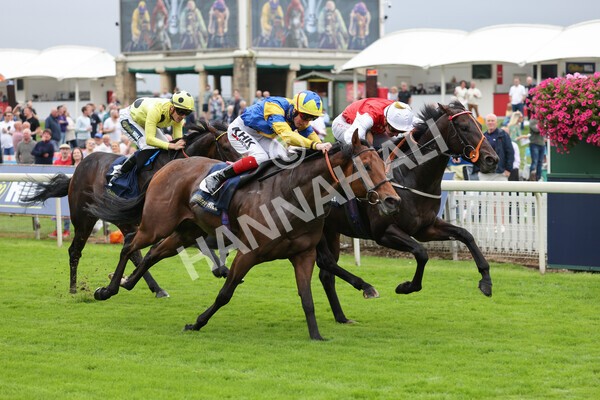 yr24092021r2-23 - Race 2 2.05pm William Hill Extra Places Races Stakes