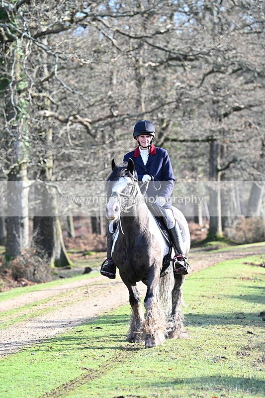 WJ7_7806 - Line 3 (no line 4 or 5)