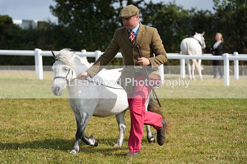 DSC05307 - Class 49: NPS Shetland 4 years and over
