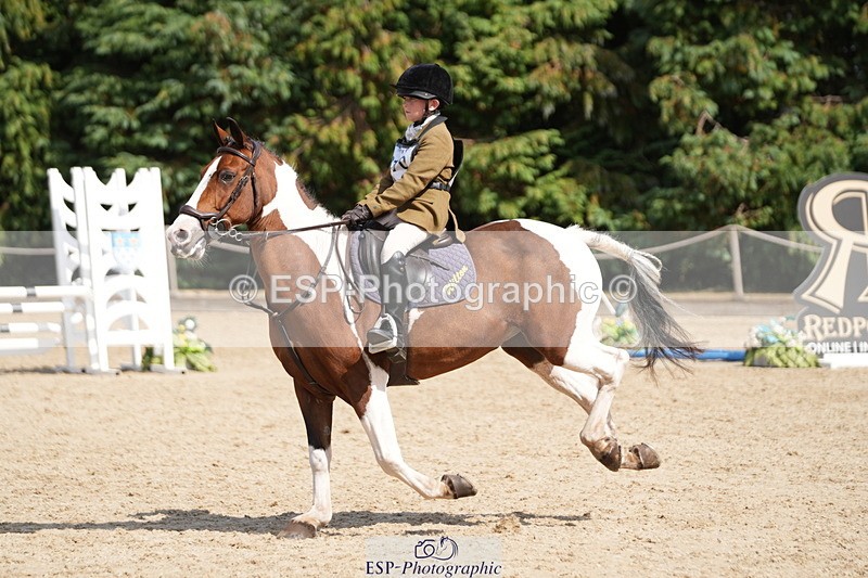 250824A-142257-38320 - 2170-Willem.Peaty-Jacob's.Cracker