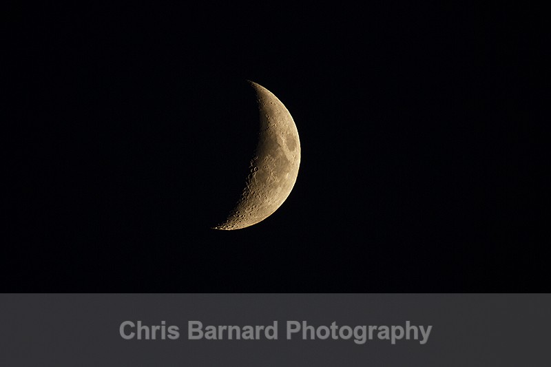  - Moon Pictures